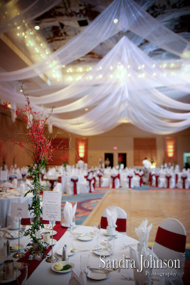 Best Rosen hotel wedding photographer - Sandra Johnson (SJFoto.com)